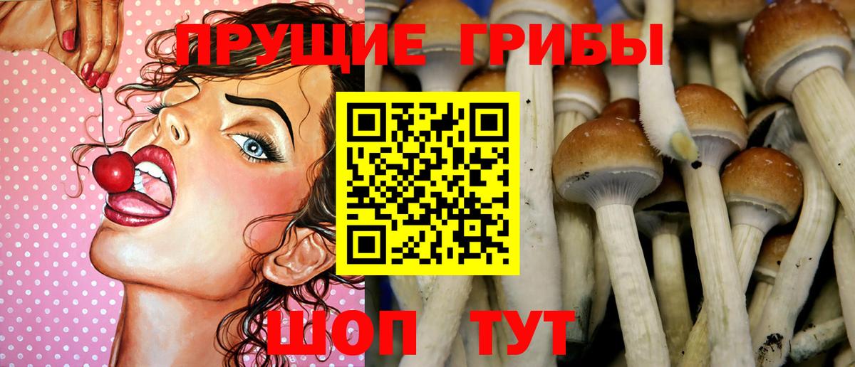 Галлюциногенные грибы Magic Shrooms  Вход с VPN  Чусовой  где купить наркоту  Псилоцибиновые грибы Psilocybine cubensis 